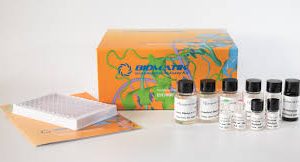 Cardiolipin ELISA Kit