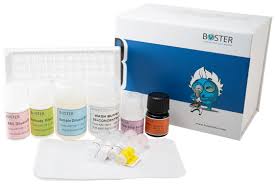 CA 125 Elisa Kit
