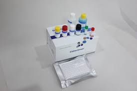 HDV IgG Elisa Kit